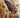 Pet-Friendly Indoor Activities: Beating the Winter Blues Together