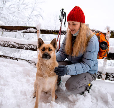 Pet-Friendly Winter Travel Destinations to Check Off Your List