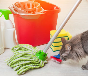 Pet-Safe Cleaning Products: 6 DIY Recipes and Recommendations