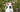 Tips for Managing Spring Allergies with Pets