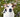 Tips for Managing Spring Allergies with Pets