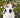 Tips for Managing Spring Allergies with Pets