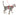 Cat Leashes & Collars
