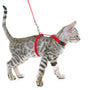 Cat Leashes & Collars