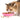 Cat Food Dry