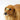 Dental Dog Treats