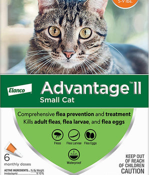 Advantage II Cat Small Orange 6-Pack