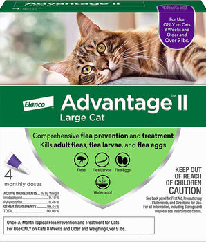 Advantage II Cat Large Purple 4-Pack