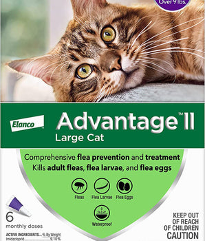Advantage II Cat Large Purple 6-Pack