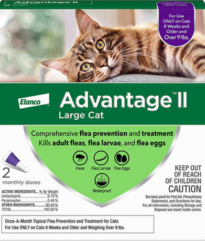 Advantage II Cat Large Purple 2-Pack