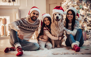 Home for the Howl-idays: Creating a Pet-Friendly Holiday Atmosphere