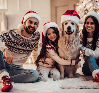 Home for the Howl-idays: Creating a Pet-Friendly Holiday Atmosphere