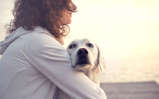 8 Ways to Keep Your Furry Friends Safe