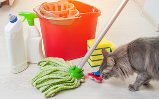 Pet-Safe Cleaning Products: 6 DIY Recipes and Recommendations