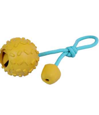 Rope Dog Toys