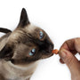 Crunchy Cat Treats