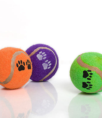 Dog Tennis ball Toys