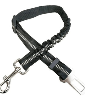 Car Elastic Safety Leash