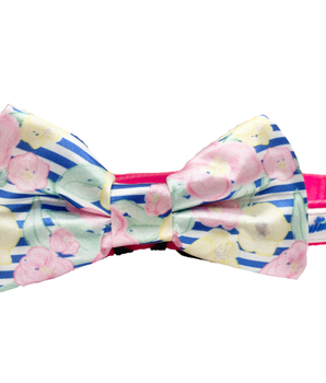 Cutie Ties Dog Bow Tie