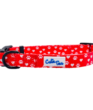 Cutie Ties Fun Design Dog Collar