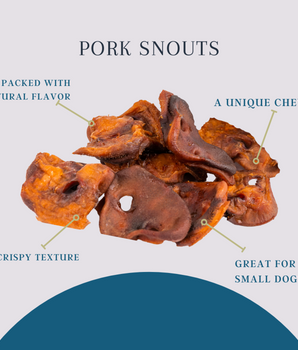 Platinum Pet Treats - Pork Snouts (Pack of 10)