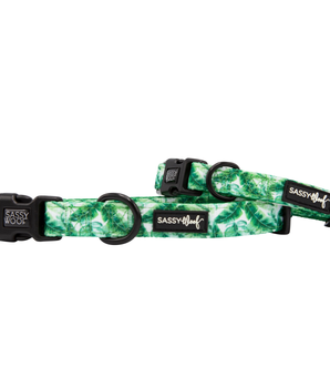 Sassy Woof Dog Collars