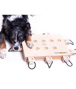 Innovative dexterity game for dogs - iPet