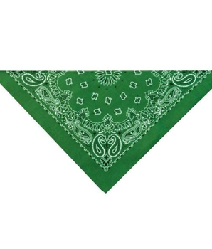 TP Paisley Bandana Dk Grn