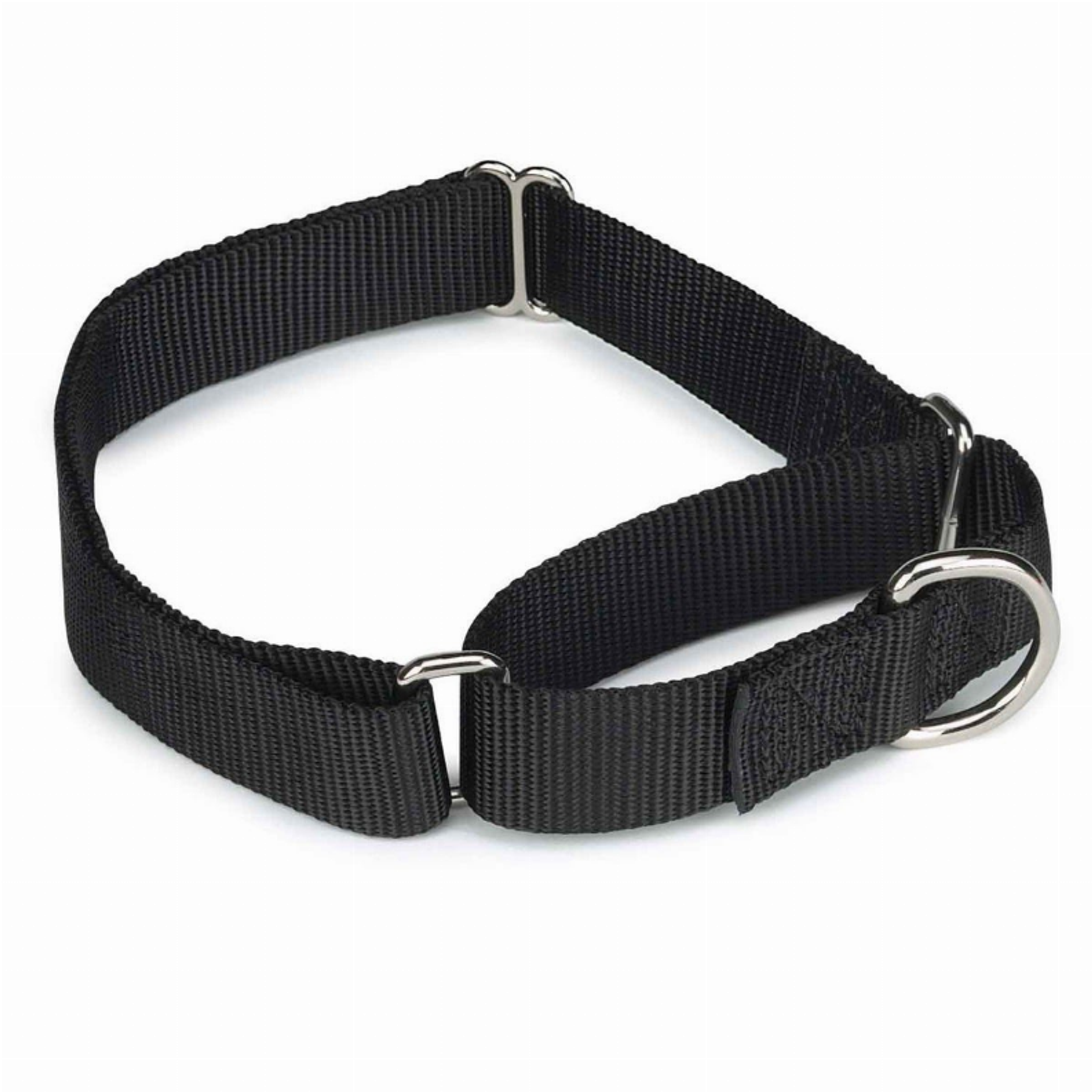 Guardian Gear - Nylon Martingale Collar 10-16In Blk