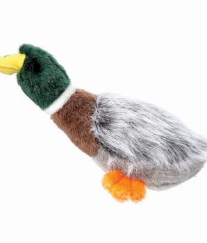 GR Squawk Flock Mallard