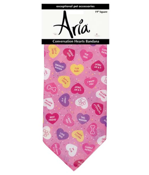 AR Conversation Hearts Bandana Pnk