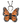 ZZ Butterfly NoGlow Harness Costume L