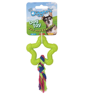 DGR TPR Star and Rope Toy Lime