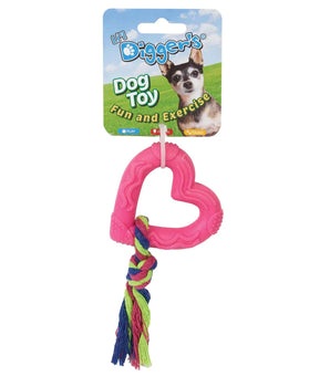 DGR TPR Heart and Rope Toy Pink