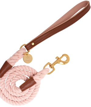 Dog Leash