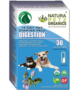 Digestion Starter Packs For Dogs And Cats *