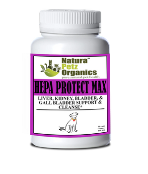 Hepa Protect Max Capsules - Liver, Kidney, Bladder & Gall Bladder Support & Cleanse*