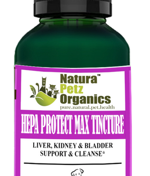 Hepa Protect Max Tincture* Master Blend Liver Kidney & Bladder Support & Cleanse 10:1 Extract*