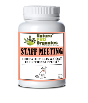 Staff Meeting* Idiopathic Skin & Coat Infection* Support For Dogs And Cats*