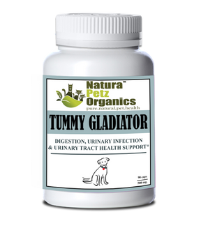 Tummy Gladiator - Digestion, Adjunctive Reflux & Urinary Tract Support*