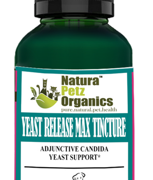 Yeast Release Max Tincture* Adjunctive Candida Yeast & Immune Support* Dogs Cats