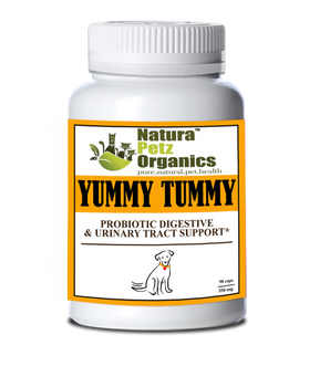 Probiotic Digestive, Bladder & Urinary Tract Support*