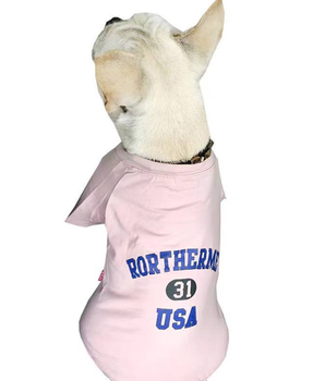 USA - Matching Pet and Owner Clothing Set