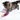 Ball Track Chase Game