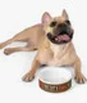 Savage Love Pet Feeding Bowl