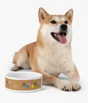 Spoiled Pet Feeding Bowl