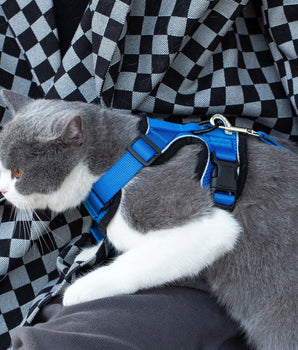 Mr. Peanut's PurrTrek Reflective Cat Harness with Matching Leash