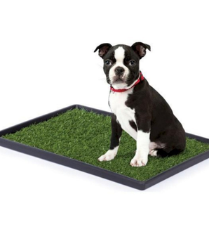 Mr. Peanut's Potty Place - Artificial Grass Puppy Pad for Dogs and Small Pets