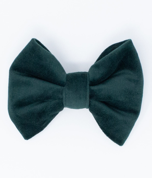 Limited Edition Velvet Evergreen Classic Dog Bow Tie