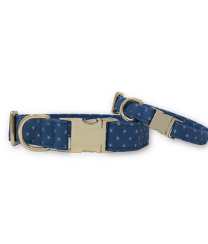 Starry Sky Classic Dog Collar